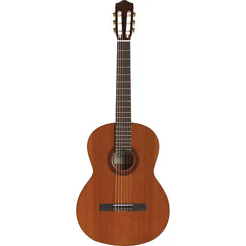 Best Budget Nylon Acoustic Guitars Under $500(May 2022)